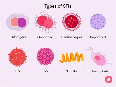 videos sexually transmitted diseases|Sexually transmitted infections (video)